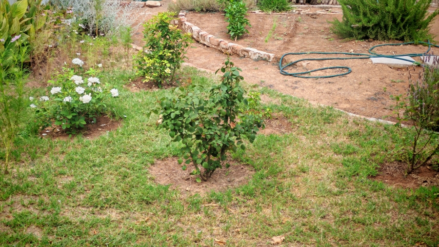 3 Bedroom Property for Sale in Cradock Eastern Cape